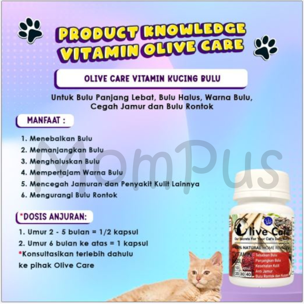 Olive Care 1 Kapsul All Varian