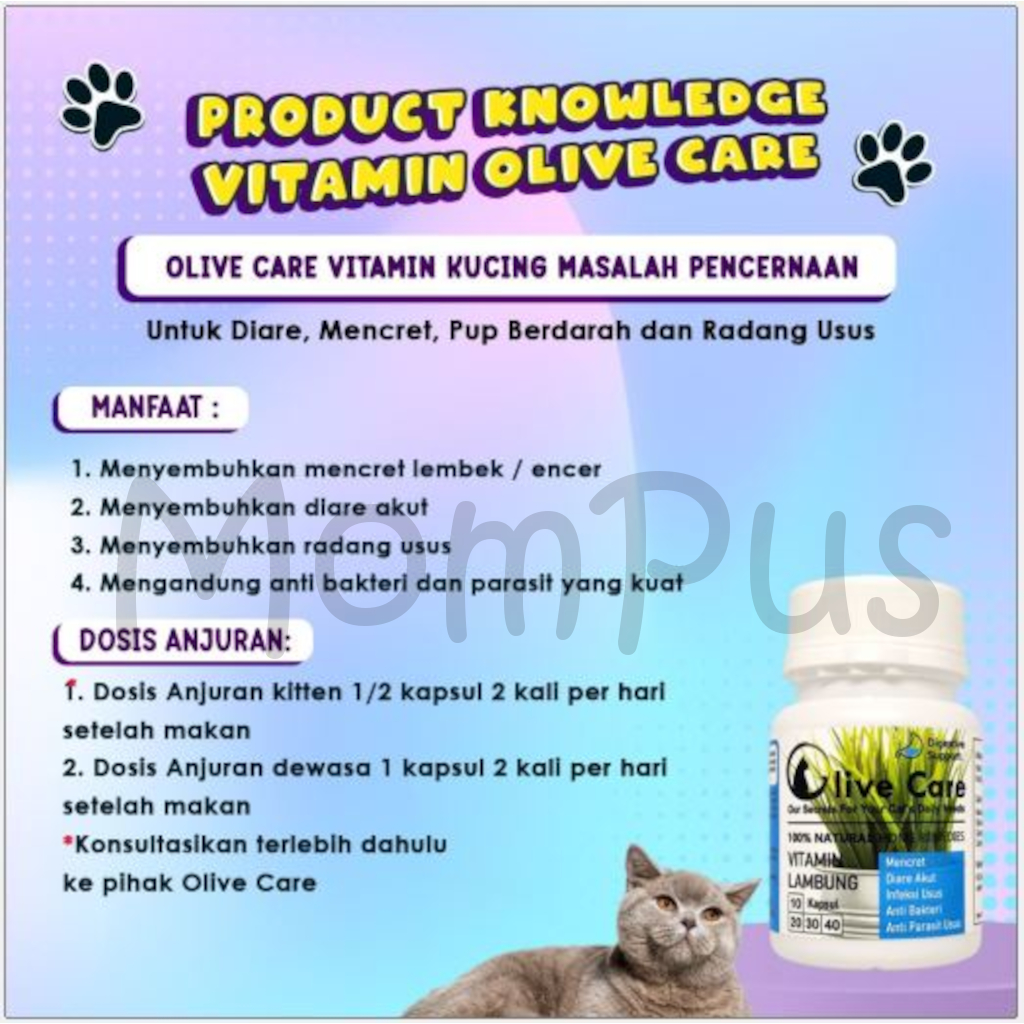 Olive Care 1 Kapsul All Varian