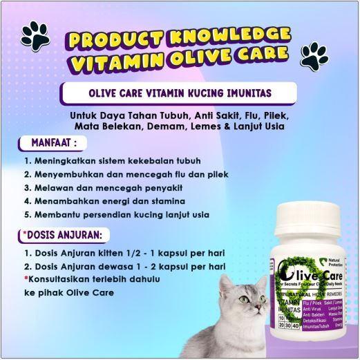 Olive Care 1 Botol (isi 10 Kapsul) All Varian