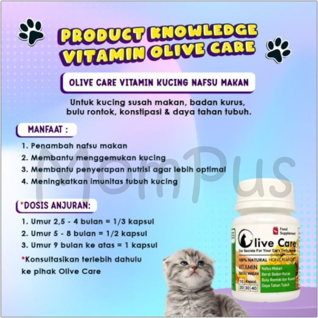 Olive Care 1 Kapsul All Varian