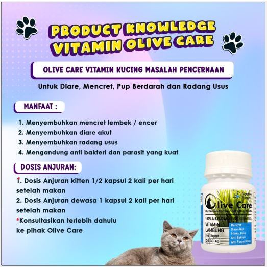 Olive Care 1 Botol (isi 10 Kapsul) All Varian