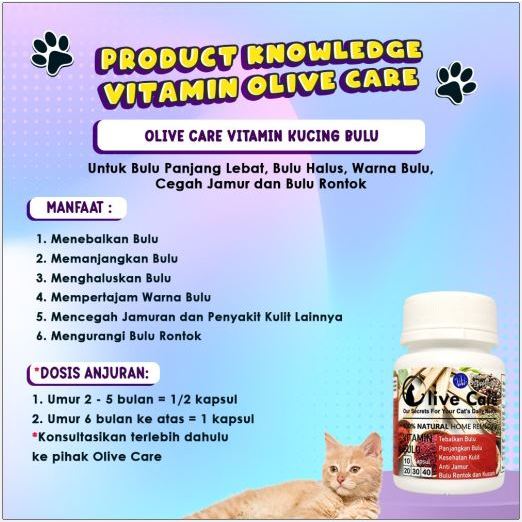 Olive Care 1 Botol (isi 10 Kapsul) All Varian