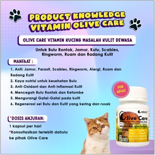 Olive Care 1 Botol (isi 10 Kapsul) All Varian