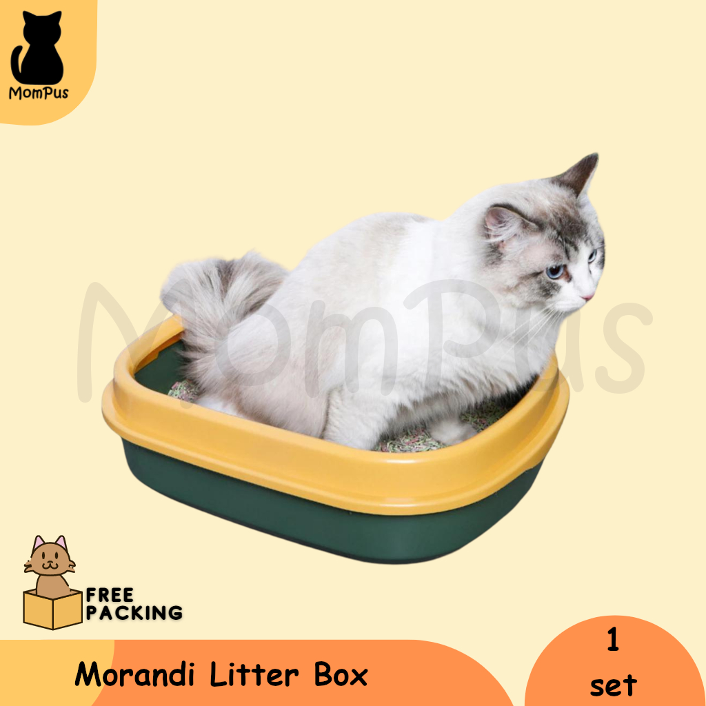 Morandi Litter Box Bak Premium