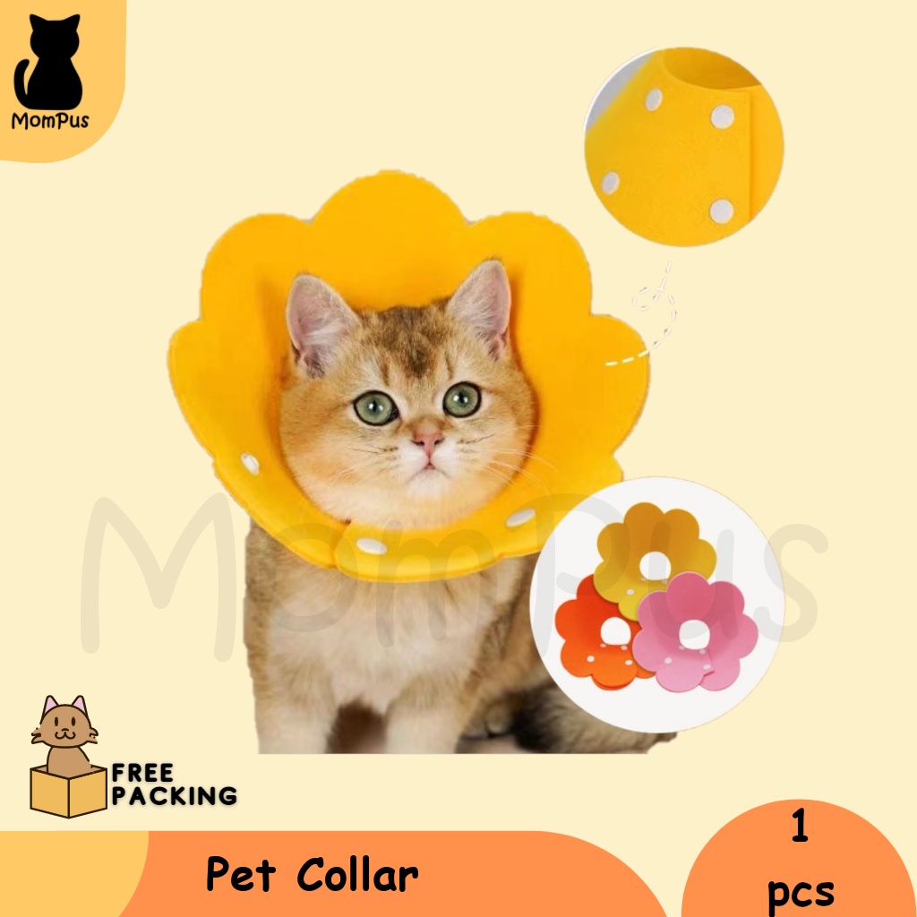 Pet Collar KUCING Bahan EVA Cone Corong Pelindung Penutup Leher Medium Large Sedang Besar M L
