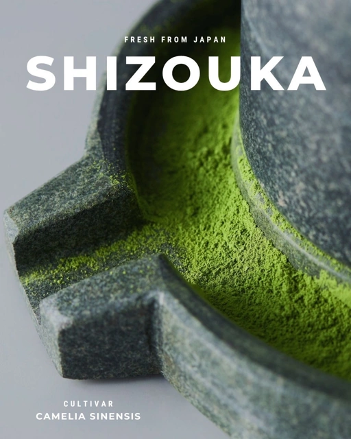 Image of KuRi Ceremonial Matcha - Japaneese Grade Matcha - 20 Gr - Umami Premium Pure Matcha Powder