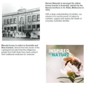 Barnes Manuka Honey