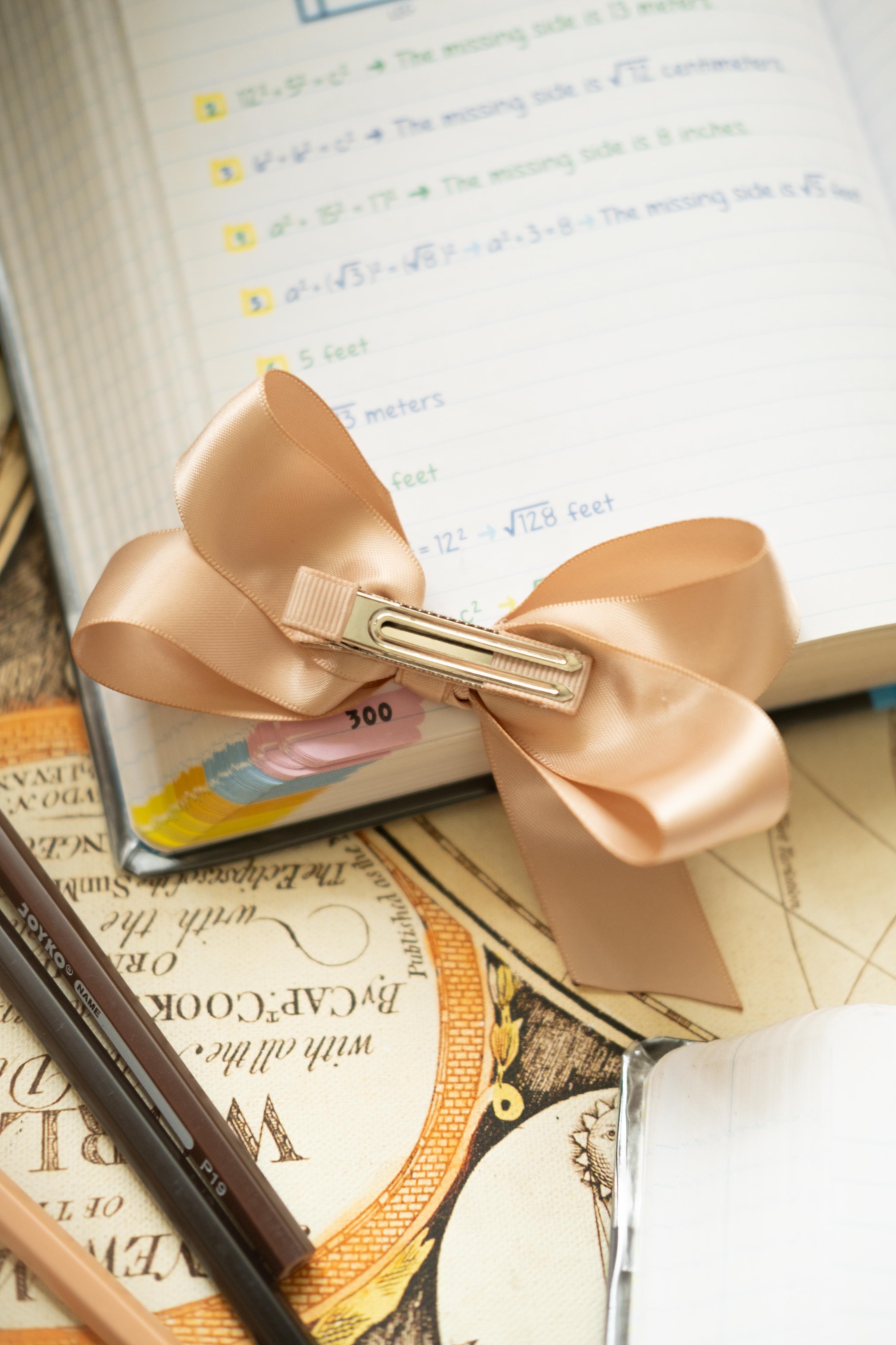 STUDY BUDDY (ALIGATOR SET OF 3)