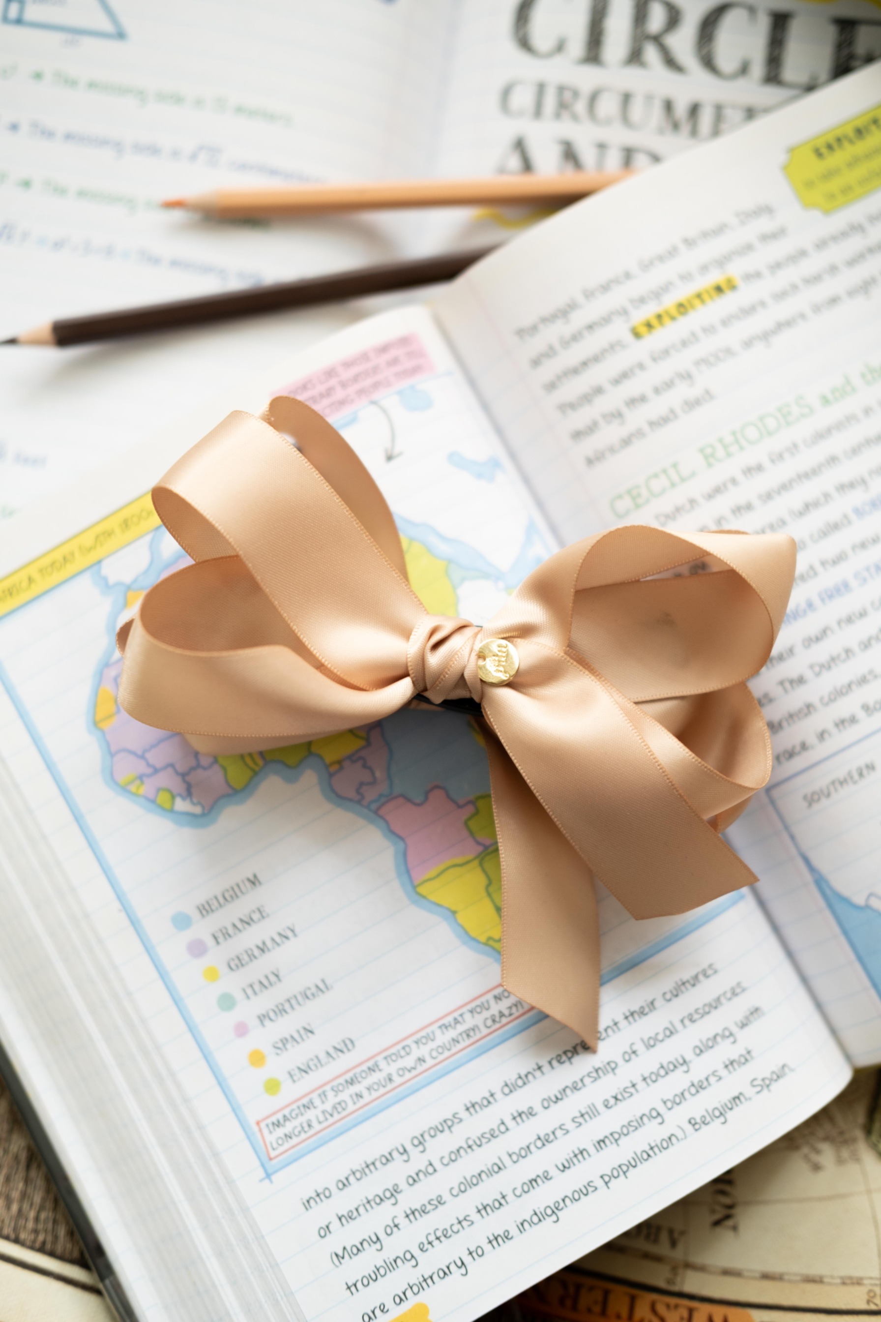 STUDY BUDDY (BANANA CLIP)