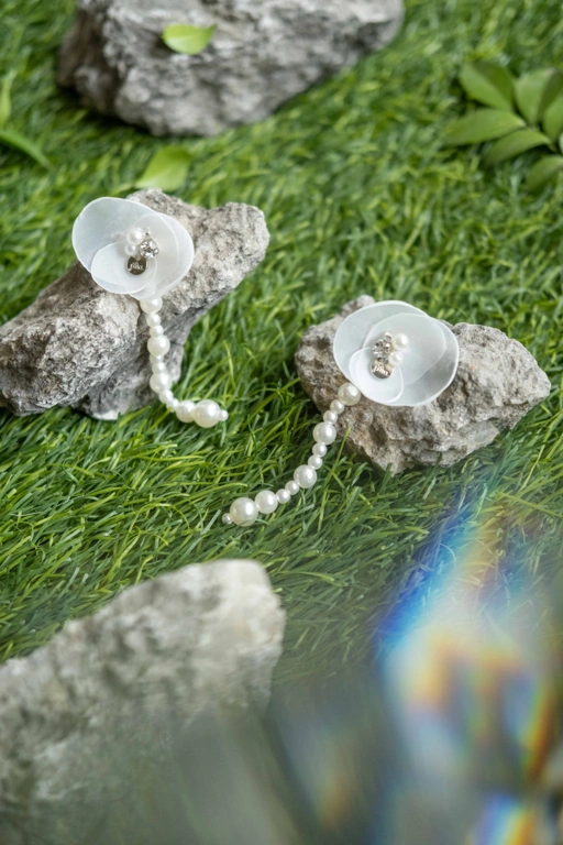 Image of MAGNOLIA PEARL