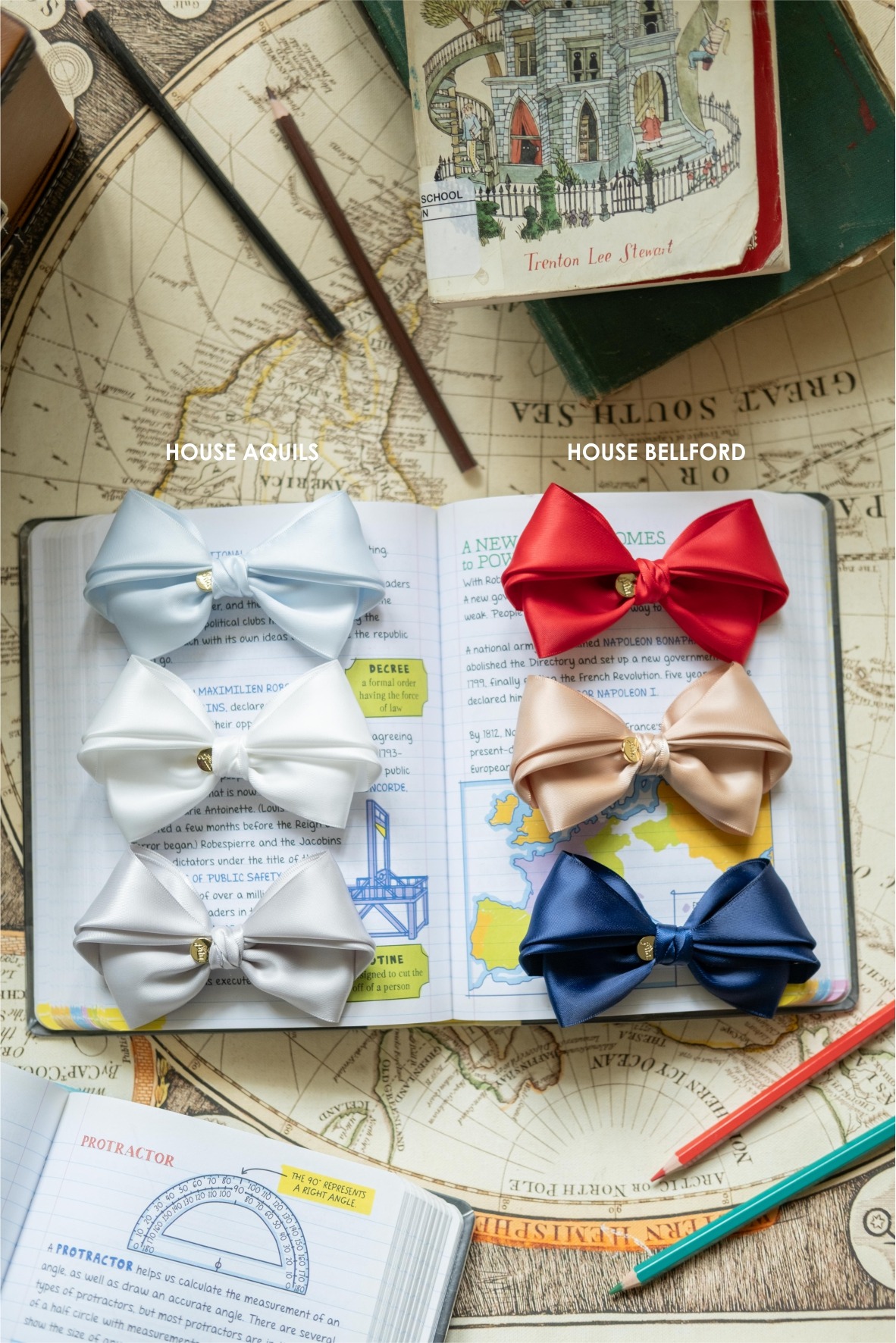 TIDY (ALIGATOR SET OF 3)