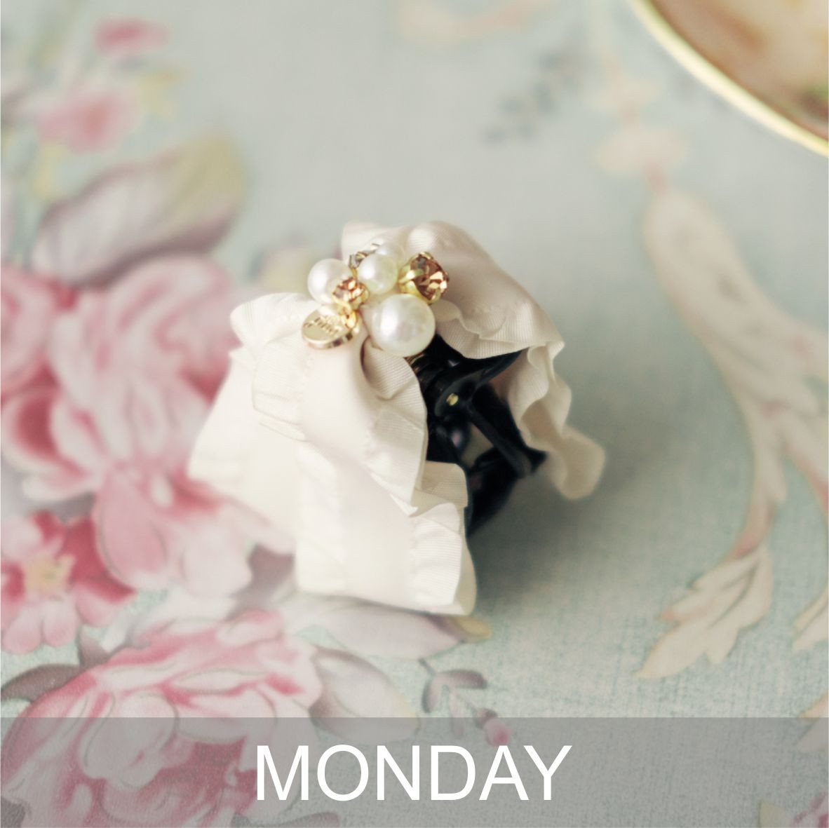 EVERYDAY CLAW MEDIUM