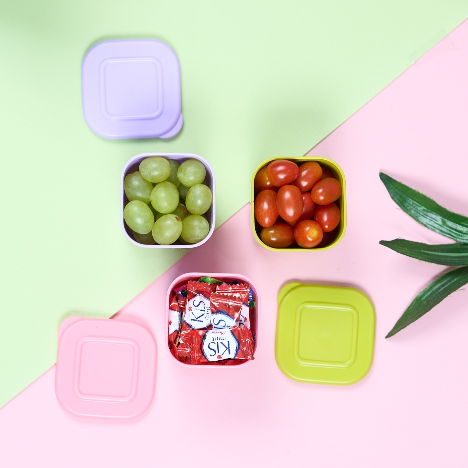 CPM Pastela Mini Jar Set Of 3 Pcs