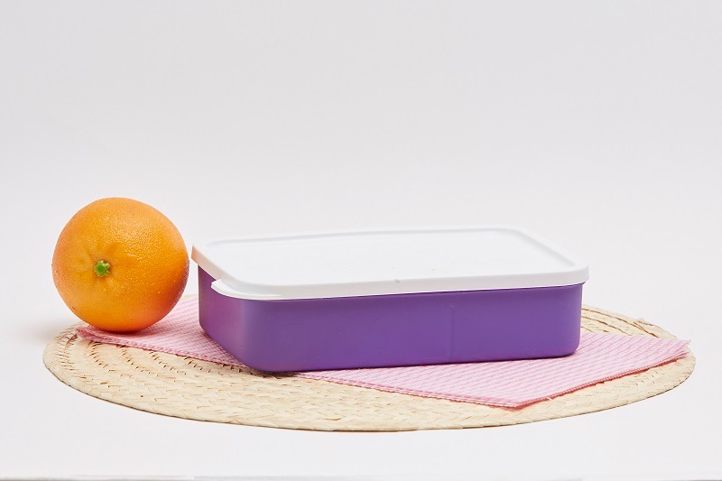 CPM Deluxe Lunch Box / Kotak Makan
