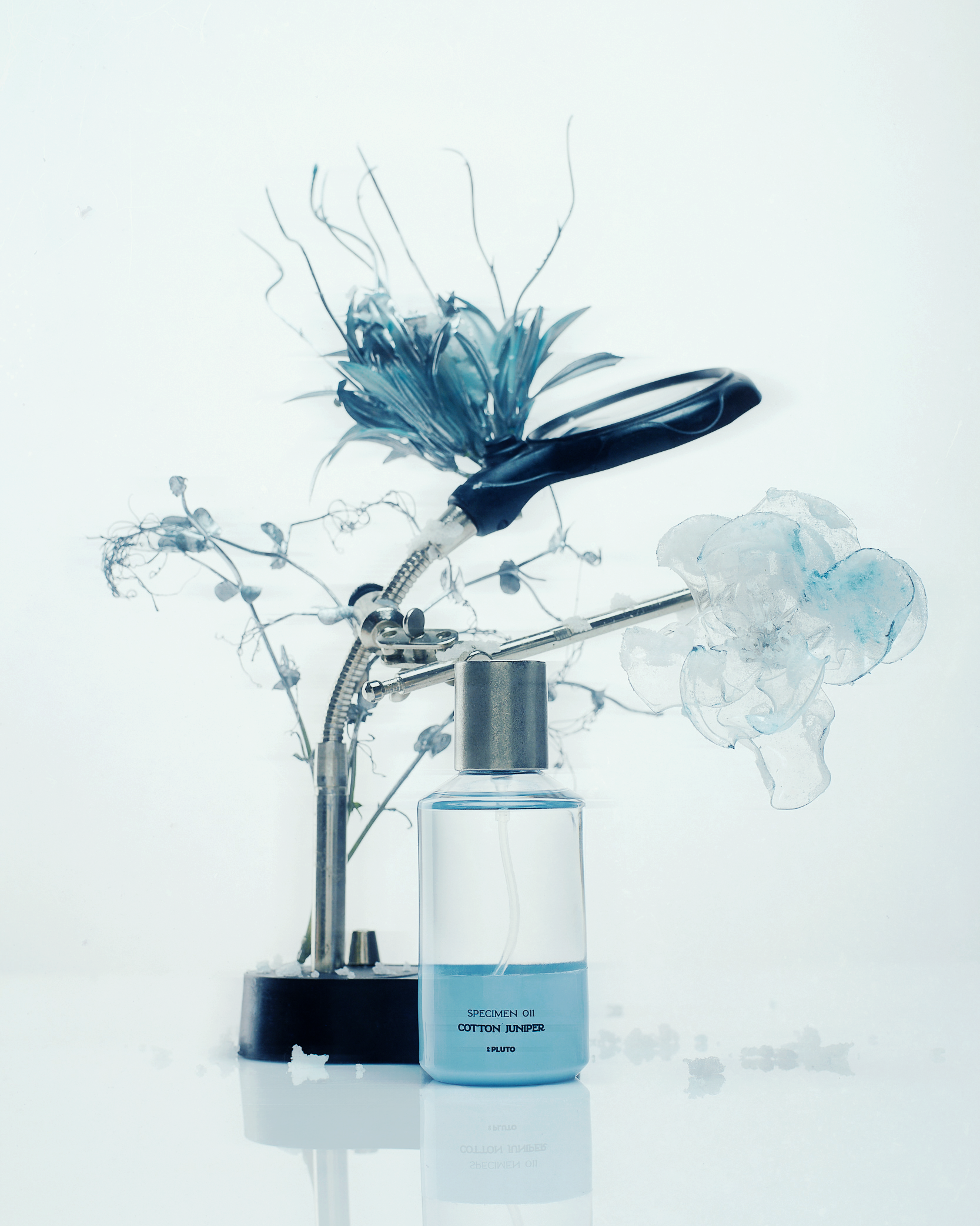 SCENTS OF P.L.T.O Specimen 11 Cotton Juniper Eau de Parfum - 50ml