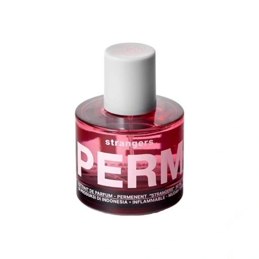 Image of PERMENENT Strangers Extrait de Parfum - 50ml