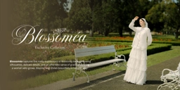 Banner Image 3