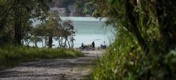 Banner Image 1
