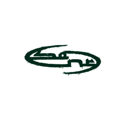 Logo of sanr studio