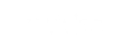 Logo of stwiseworldwide
