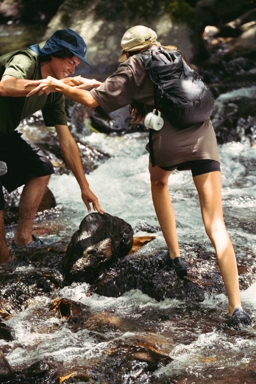 Banner Image 1