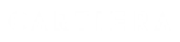 Logo of Cartiera