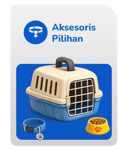 Aksesoris Pilihan