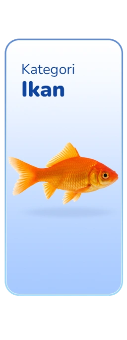 Ikan