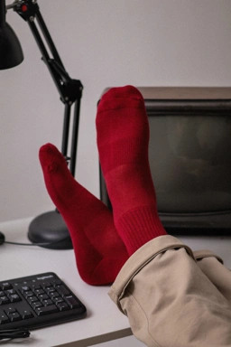 Banner Image 2