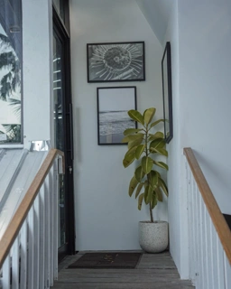 Banner Image 3