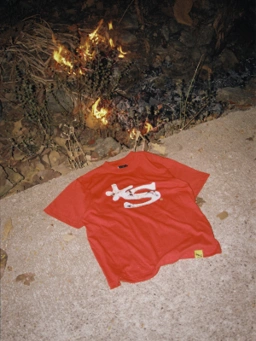 Banner Image 2