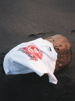 Banner Image 3