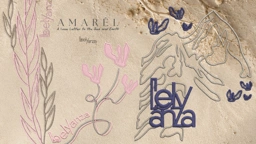 Banner Image 6